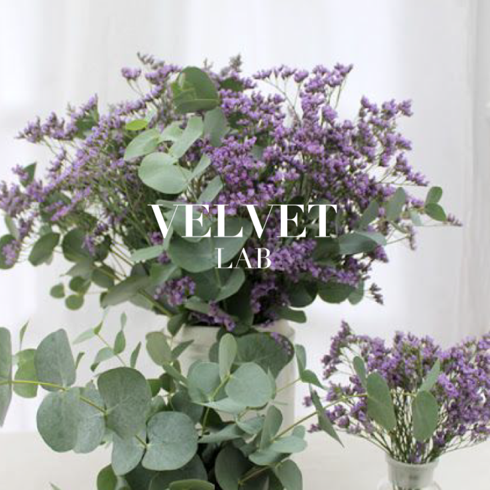 vela fragancia aroma eucalyptus y lavanda
